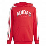 CODES COLLEGIATE GRAPHIC HOODIE