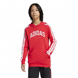 CODES COLLEGIATE GRAPHIC HOODIE