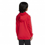 CODES COLLEGIATE GRAPHIC HOODIE