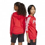 CODES COLLEGIATE GRAPHIC HOODIE