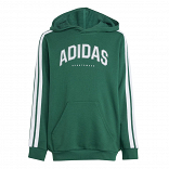 CODES COLLEGIATE GRAPHIC HOODIE