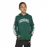 CODES COLLEGIATE GRAPHIC HOODIE