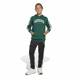 CODES COLLEGIATE GRAPHIC HOODIE