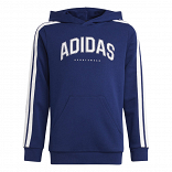 CODES COLLEGIATE GRAPHIC HOODIE