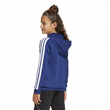 CODES COLLEGIATE GRAPHIC HOODIE