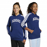 CODES COLLEGIATE GRAPHIC HOODIE