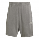 ALL SZN French Terry Washed 8 Inch Shorts