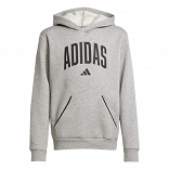Seasonals Essentials Collegiate Typography Hoody