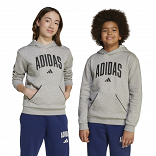Seasonals Essentials Collegiate Typography Hoody