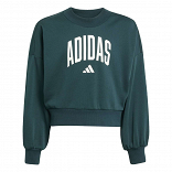 Seasonals Essentials Collegiate Typography Crew