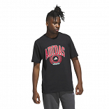 Varsity Crest Graphic T-Shirt