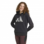 HOLIDAY METALLIC GRAPHIC HOODIE