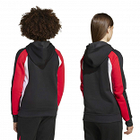 SEASONAL ESSENTIALS COLORBLOCK FLEECE HOODIE