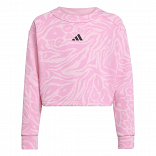 FUTURE ICONS  CROPPED SWEATSHIRT