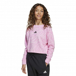 FUTURE ICONS  CROPPED SWEATSHIRT