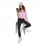 FUTURE ICONS  CROPPED SWEATSHIRT