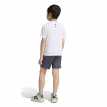 ADIDAS MINECRAFT TRAINING SUMMERSET