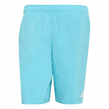 SWIM SHORTS 8 INCH