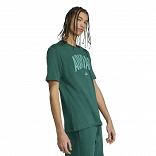 COLLEGIATE LINEAGE GRAPHIC T-SHIRT