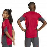 Liverpool FC 25/26 Competition Training Jersey Kids