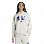 COLLEGIATE HOODIE