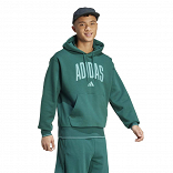 COLLEGIATE HOODIE