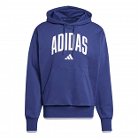 COLLEGIATE HOODIE