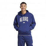 COLLEGIATE HOODIE