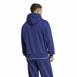 COLLEGIATE HOODIE