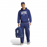 COLLEGIATE HOODIE
