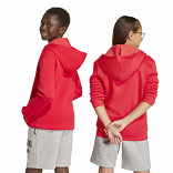 SEASONALS COLLEGIATE TYPOGRAPHY HOODY