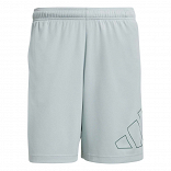 WORKOUT ESSENTIALS BASE PIQUE BIG LOGO SHORT