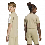 ESSENTIALS T-SHIRT