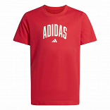 COLLEGIATE GRAPHIC T-SHIRT JUNIOR