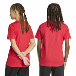 COLLEGIATE GRAPHIC T-SHIRT JUNIOR
