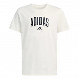 COLLEGIATE GRAPHIC T-SHIRT JUNIOR