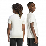 COLLEGIATE GRAPHIC T-SHIRT JUNIOR