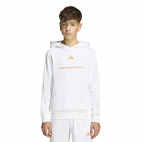 ADIDAS BOYS SLOGAN FLEECE HOODIE
