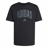 COLLEGIATE LINEAGE GRAPHIC T-SHIRT