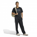 COLLEGIATE LINEAGE GRAPHIC T-SHIRT
