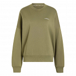 Seasonal Essentials Colorpop Sweatshirt with Embroidered Graphic