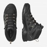 HIKING & MULTIF-X-SERIES X BRAZE MID GTX