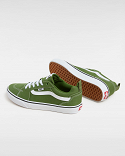 Filmore CNVS