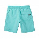 VERT SHORTS