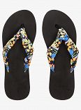 PAIA IV SLIDES