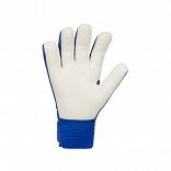 Nike Jr. Goalkeeper Match