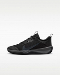 Nike Omni MultiCourt