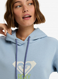SURF STOKED HOODIE BRUSHED ART