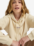 SURF STOKED HOODIE BRUSHED VT