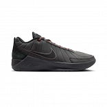 LEBRON WITNESS IX